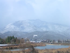 雪の鳥居形