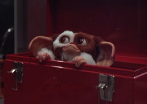 mogwai