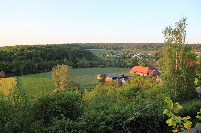 trendelburg42