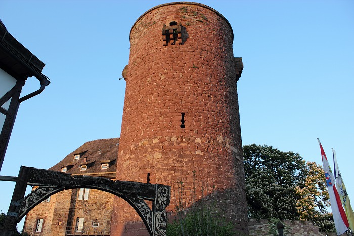 trendelburg44