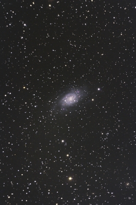 NGC2403