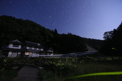 ホタル星景1