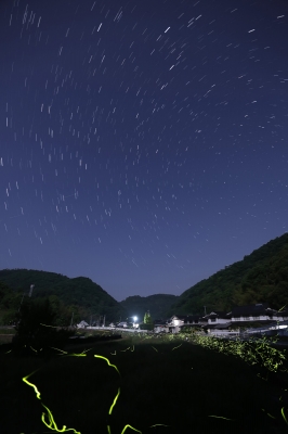 ホタル星景2