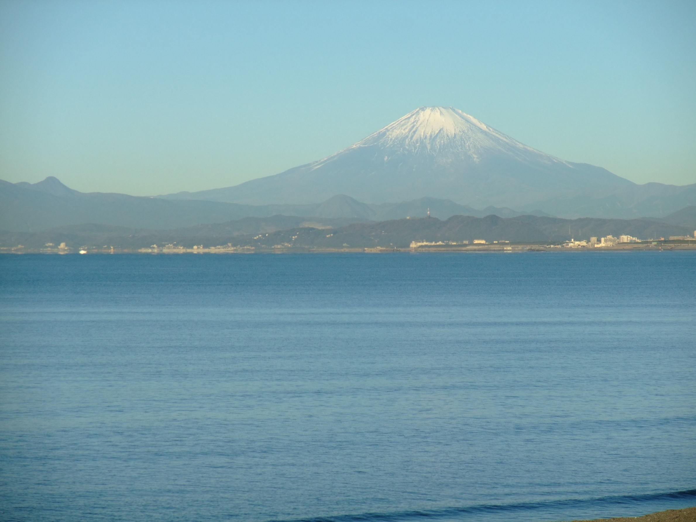 湘南健康RUN♪in江ノ島 | 森林インストラクター 岳の発見！