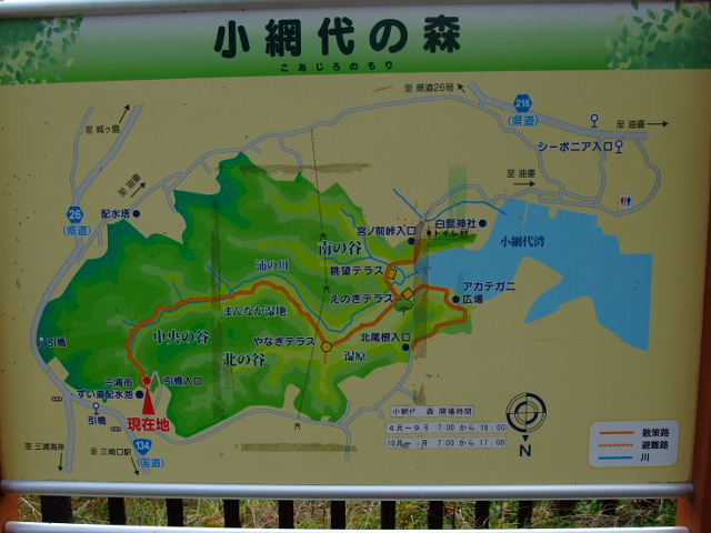 水彩画 小網代湾(三浦半島) 水彩画 小網代湾(三浦半島)