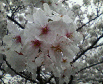 201004050011000.jpg