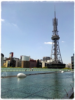 SH380169.JPG