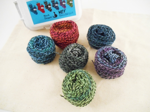 ブラックドラゴン 限定販売】MONSTERS CHRONICLE 遊☆戯☆王デュエルモンスターズ