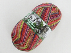 2021-09-16 「KFS124 気仙沼”いちご”」リバイバル販売第1弾＆ シャーフ