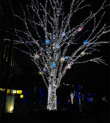 sugar candy tree