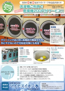 5月中山店限定キャンペーンチラシ