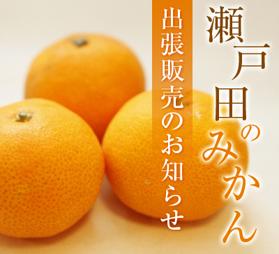 みかん出張販売のお知らせ
