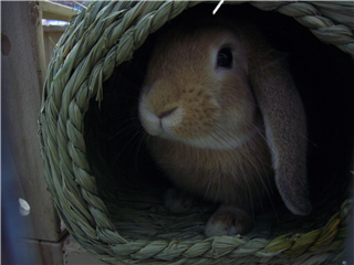 こっちからも・・・・ちわ♪