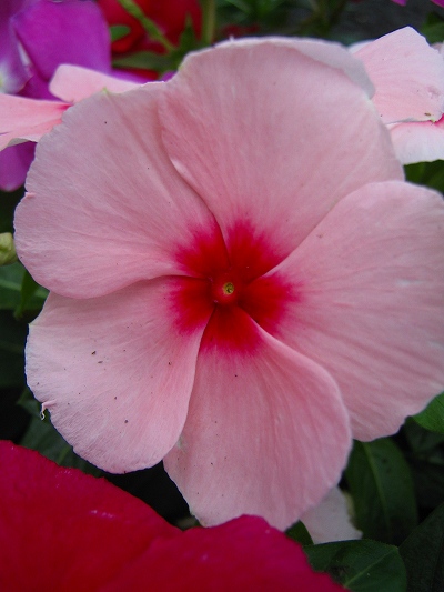 IMG_3587s.jpg