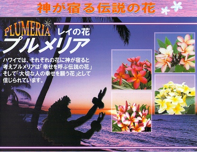 img002s.jpg