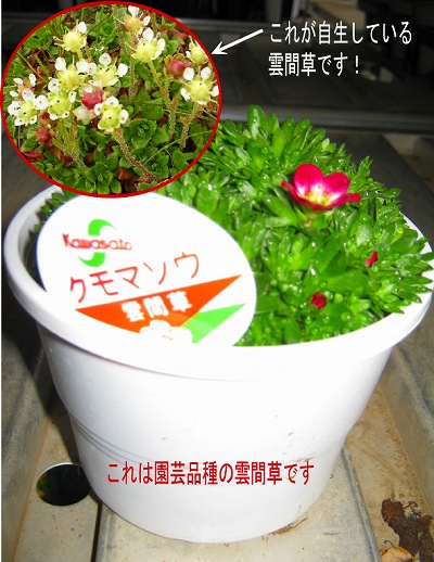 20100430_1564423.jpg