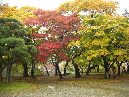 盛岡城跡公園の紅葉