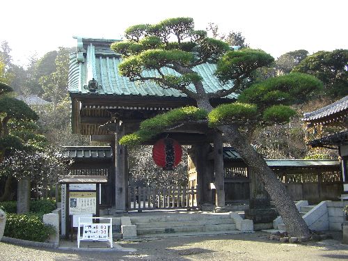 海光山慈照院長谷寺