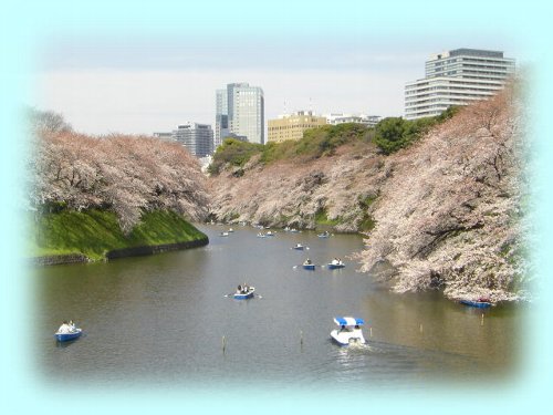 ボート乗り場上の展望台からの眺め
