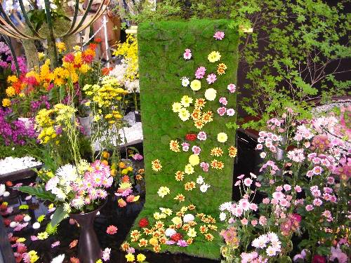 あたかも着物の帯にいろいろな花を散らしたように見えて、すばらしいデザインだと思う