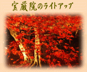 京の紅葉(8)宝厳院のライトアップ