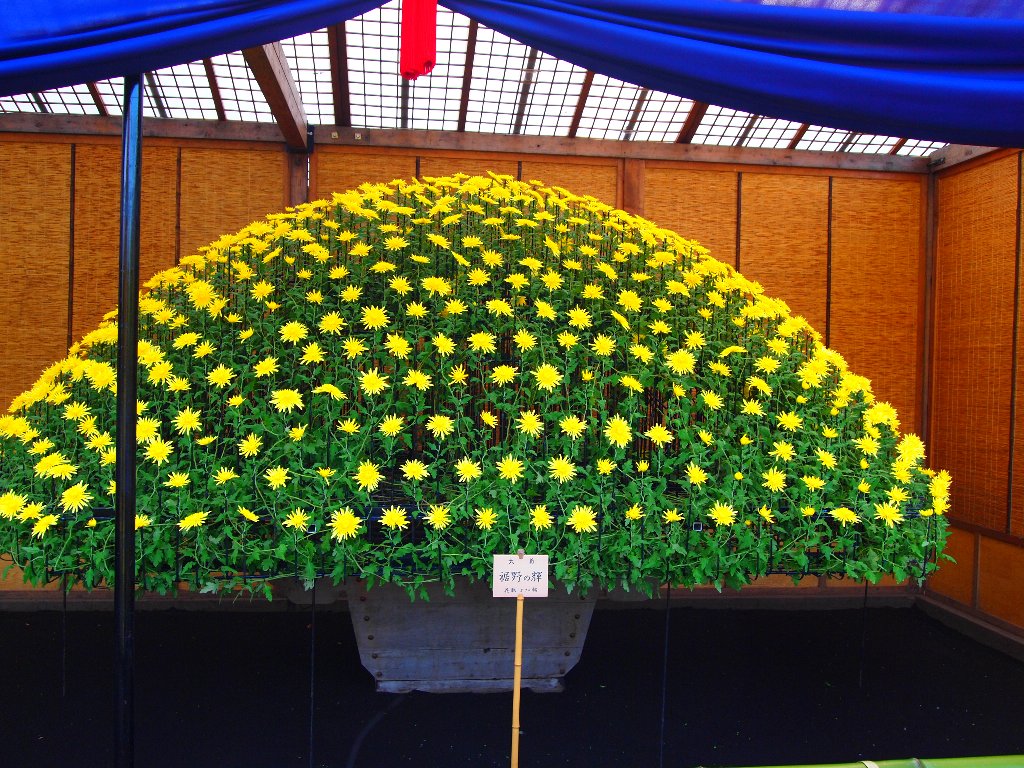 見事な大作り花壇