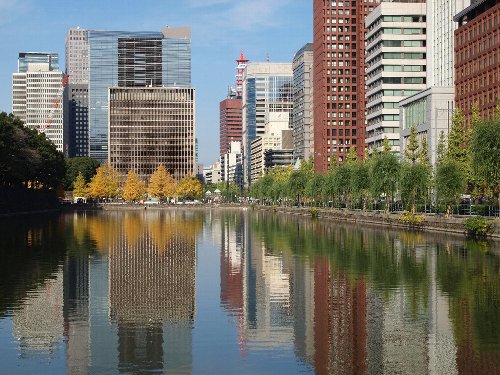 馬場先壕の水面に映った銀杏の黄色や緑色そして建物