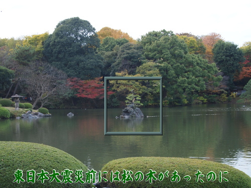 去年の秋には蓬莱島に松の木があったのに