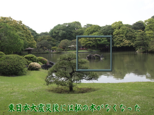今回は蓬莱島に松の木がなくなっていた