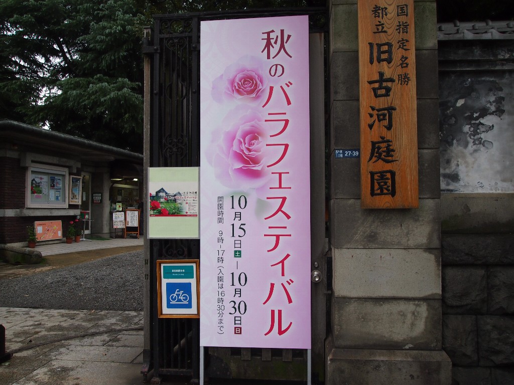 古河庭園の秋薔薇フェスティバル