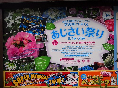 豊島園の紫陽花
