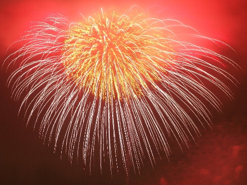 東京湾大華火祭