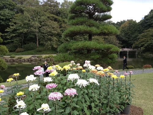 秋の園遊会