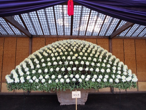 大作り花壇