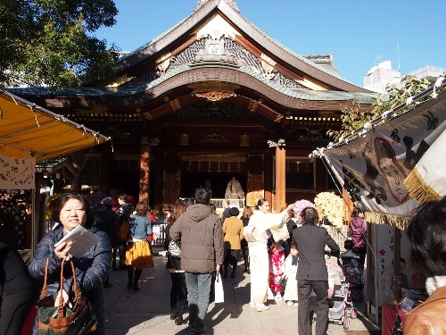 湯島天神の菊まつり