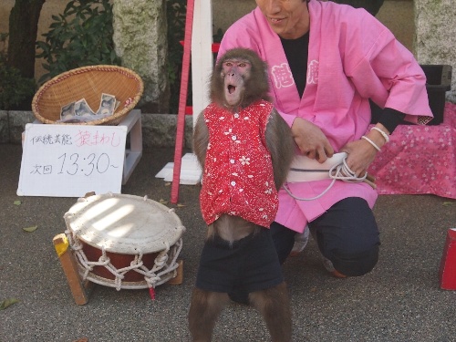 湯島天神の菊まつり・猿回し