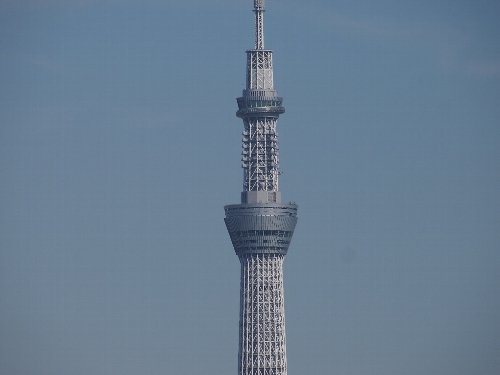 東京スカイツリーの天望デッキ(350m)と天望回廊(450m)