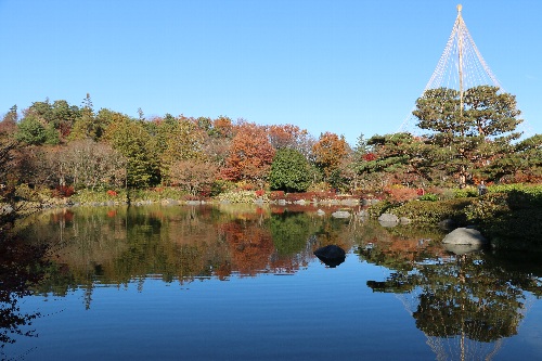 12月に初孫ちゃんと行った昭和記念公園