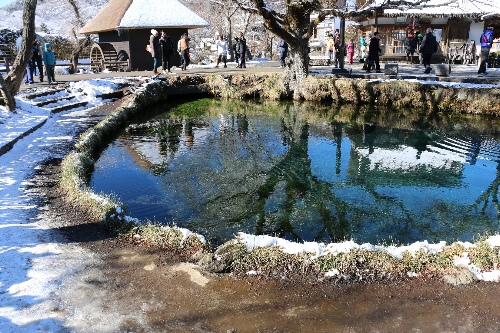 忍野八海
