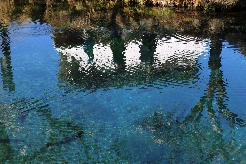 忍野八海