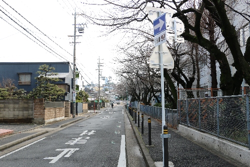 母校の中学校脇の暗渠となった川と桜の木
