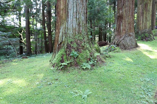 中尊寺