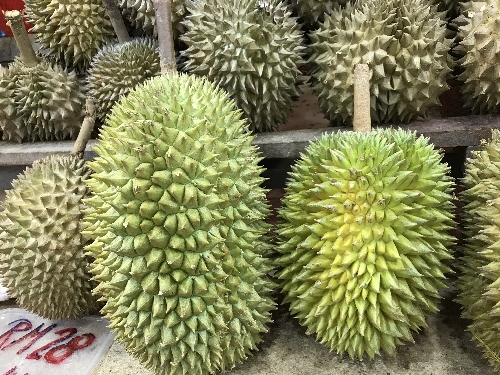 ドリアン