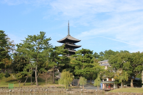 興福寺五重塔。猿沢の池越しに見る。