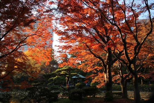 01 日比谷公園の鶴の池