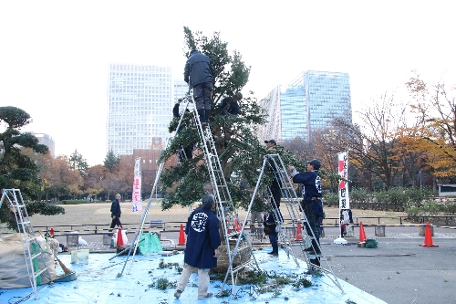 09 日比谷公園での匝瑳市植木職人の実演