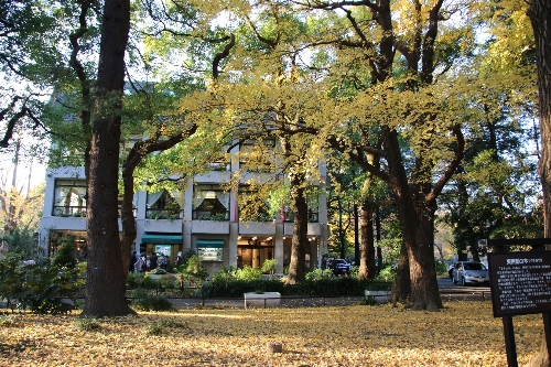 11 日比谷公園内の松本楼