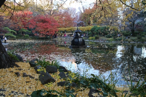 12 日比谷公園内の鶴の噴水の池