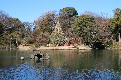 六義園の池