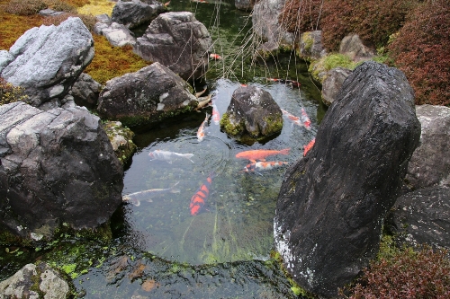 城南宮の神苑